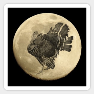 Romantic turkey with bat at night in the moonlight Magnet